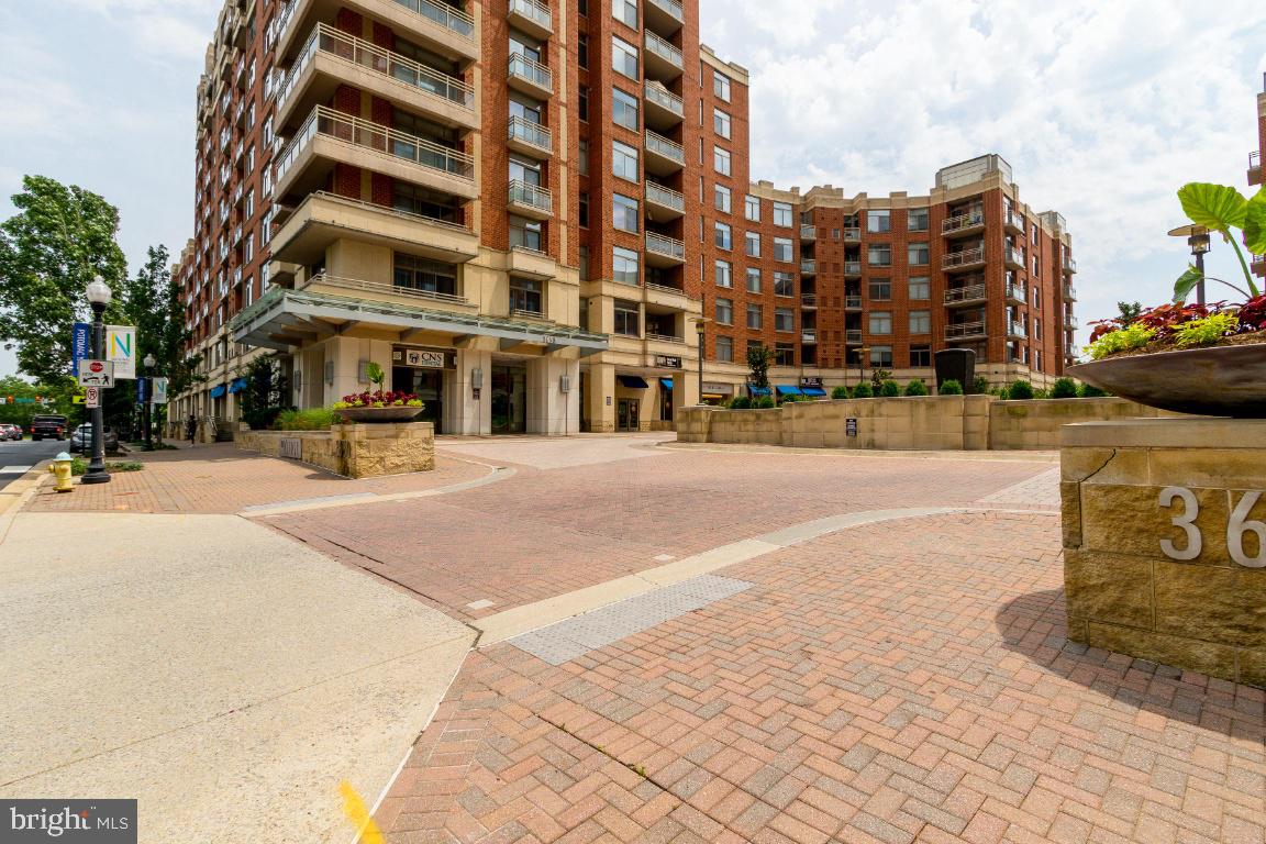 3650 South Glebe Road, Unit 242 Arlington, VA 22202 - Photo 3 of 36