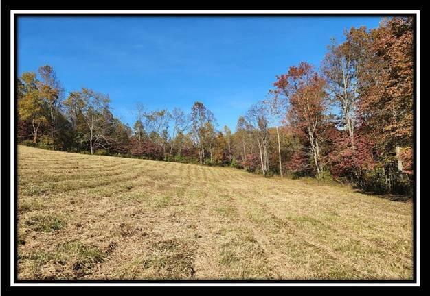 0 Maysville-Williams Road, Unit TRACT 1) Logan, OH 43138 - Photo 30 of 47 image030