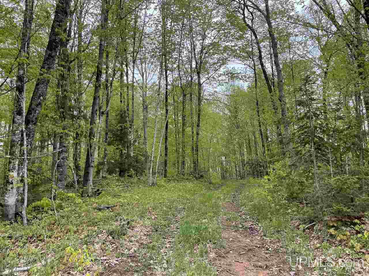 0 County Road 577 Road, Unit ANNA RIVER RDP Munising, MI 49862 - Photo 21 of 26