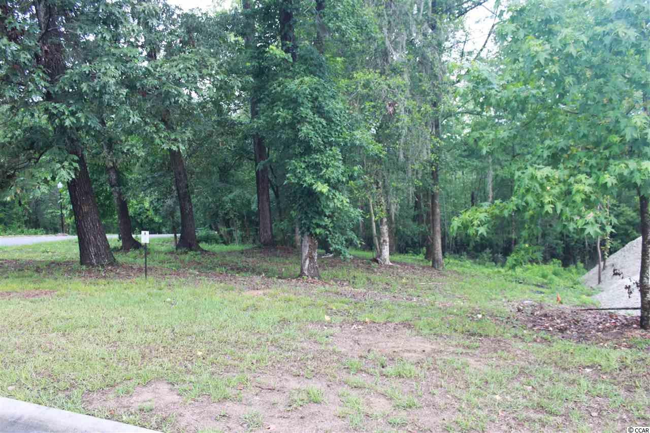 Lot 32 Rivers Edge Drive Conway, SC 29526 - Photo 1 of 4 Gallery Image 1