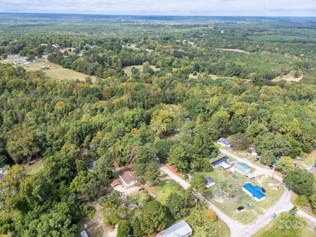 a view of a large yard with plants and large trees