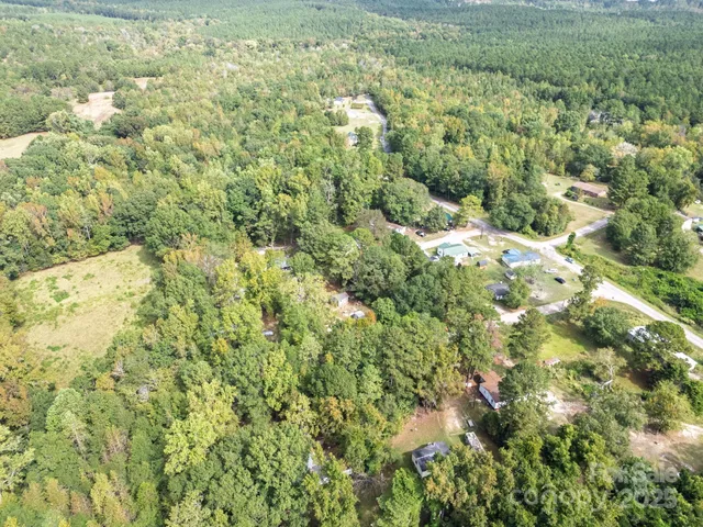 a view of a big yard with plants and large trees