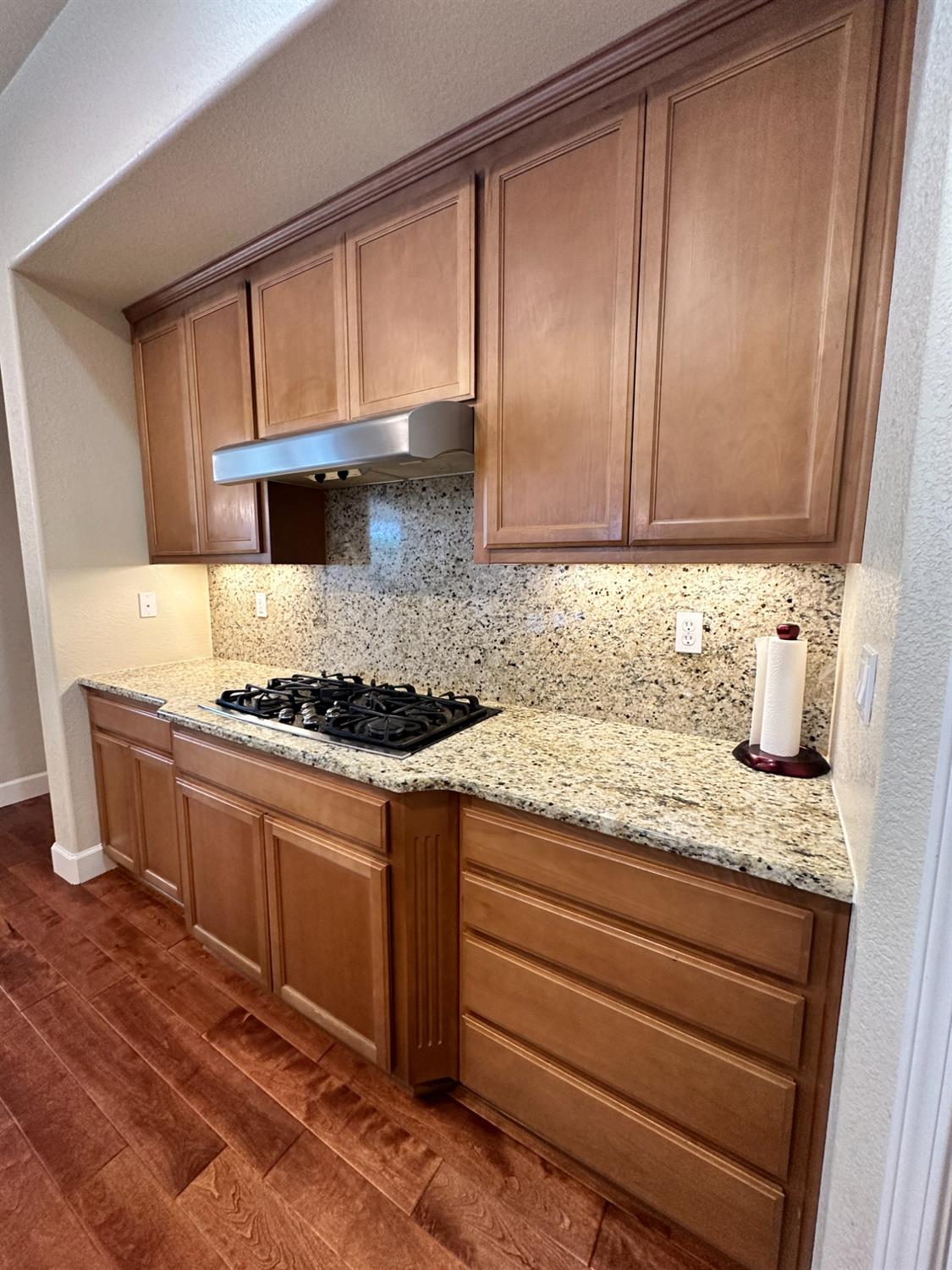1040 Birch Run Way Manteca, CA 95336 - Photo 17 of 52 a kitchen with granite countertop cabinets stainless steel appliances and a counter space