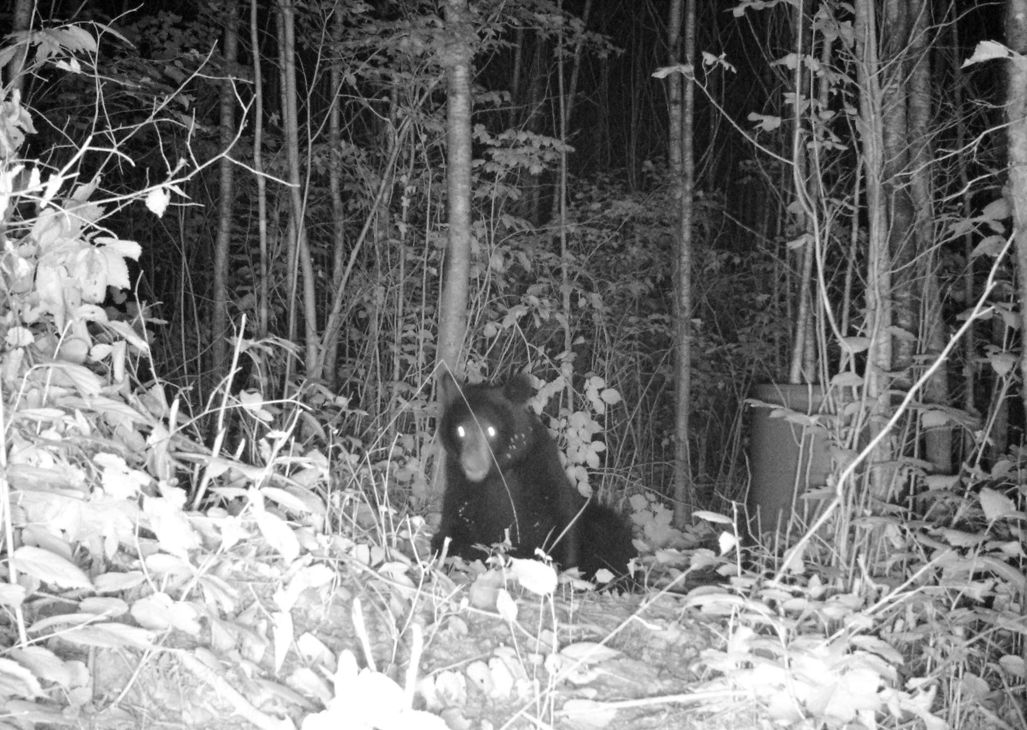 57391 Duncan Road Sandstone, MN 55072 - Photo 41 of 48 Gallery Image 41