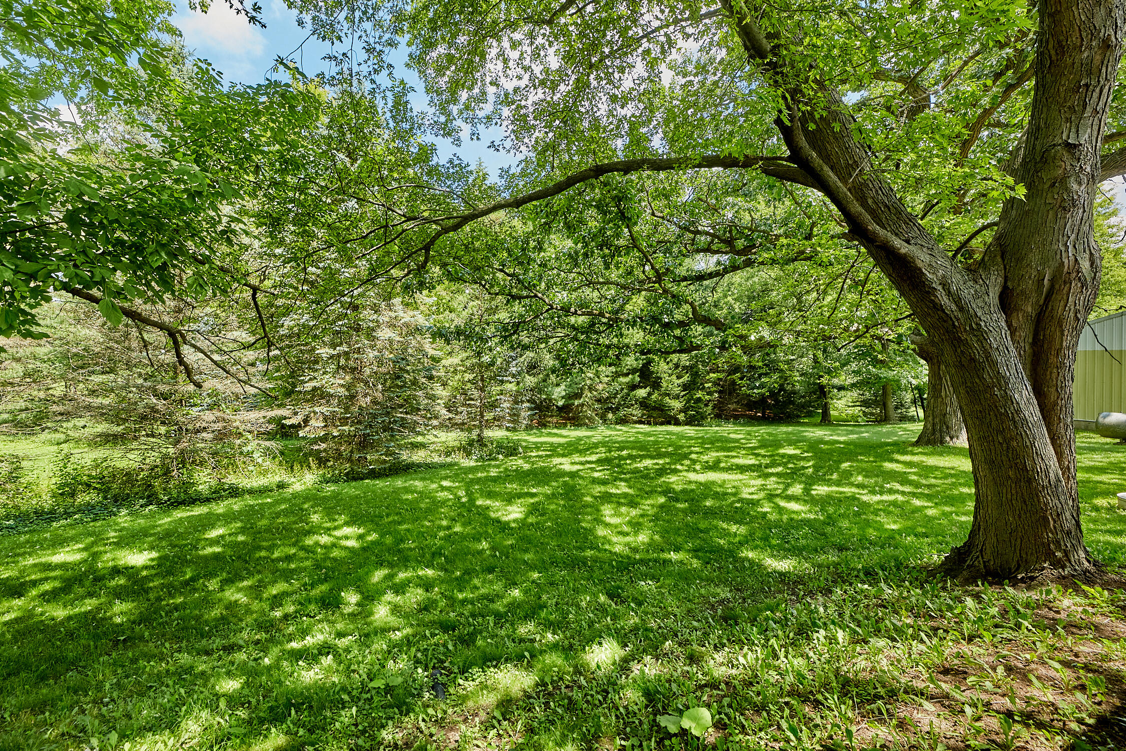 S25-w31794 Brandybrook Road Wales, WI 53183 - Photo 13 of 38 Yard
