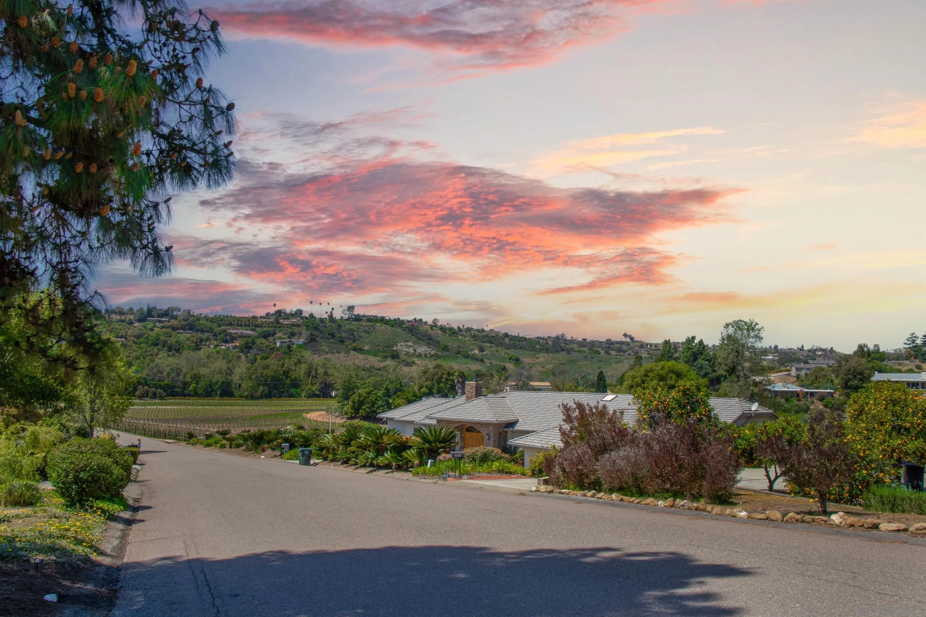 3675 Northcliff Drive Fallbrook, CA 92028 - Photo 37 of 37 a view of a street with a houses