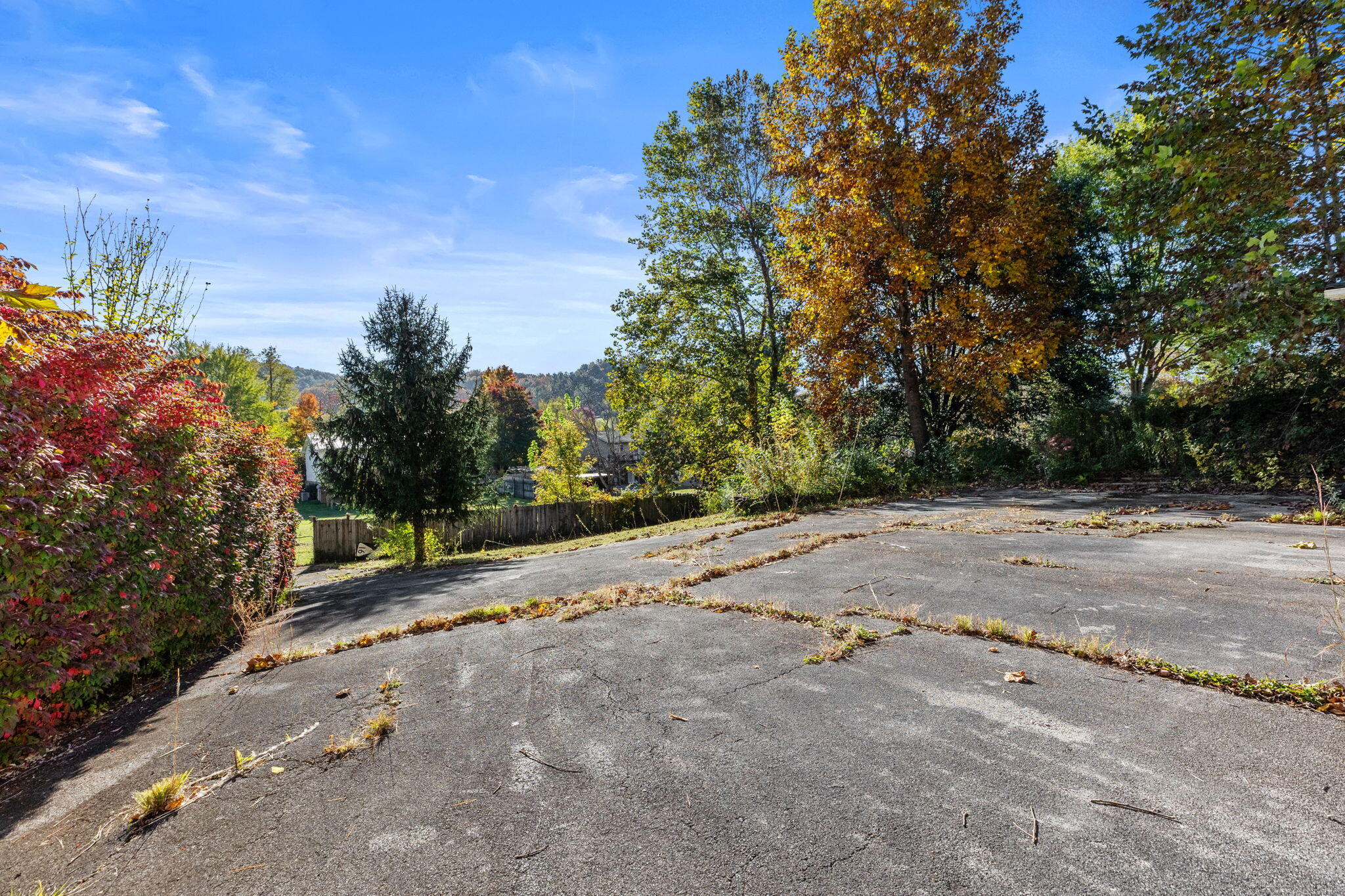 1013 Gouge Road Unicoi, TN 37692 - Photo 30 of 30 30-web-or-mls-217A2909