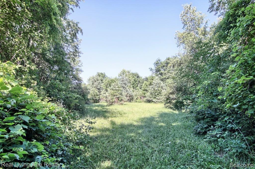 76400 Romeo Plank Road Armada, MI 48005 - Photo 25 of 26