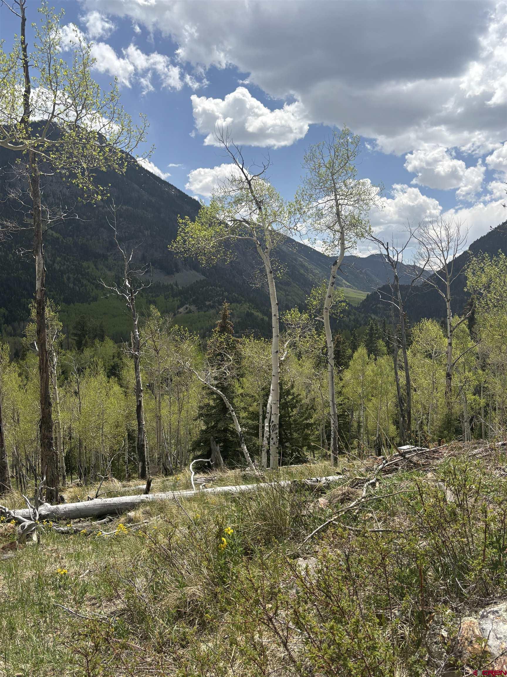 1113 Spring Street Del Norte, CO 81132 - Photo 12 of 43 a view of a park