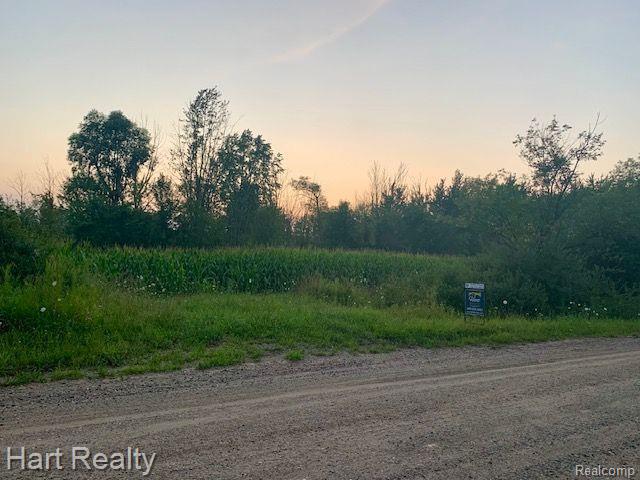 0 South State Road Croswell, MI 48422 - Photo 4 of 5