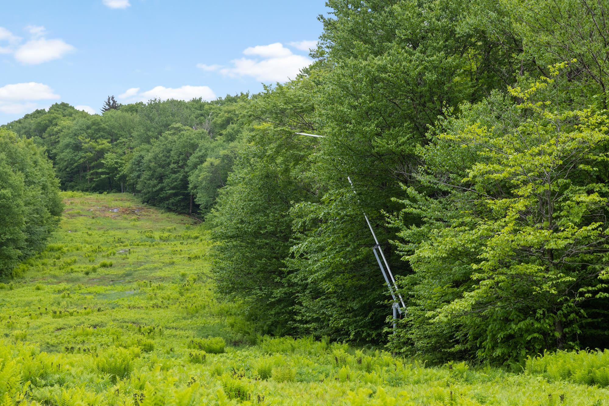 150 Thacher Road Bolton, VT 05477 - Photo 36 of 40 Gallery Image 36