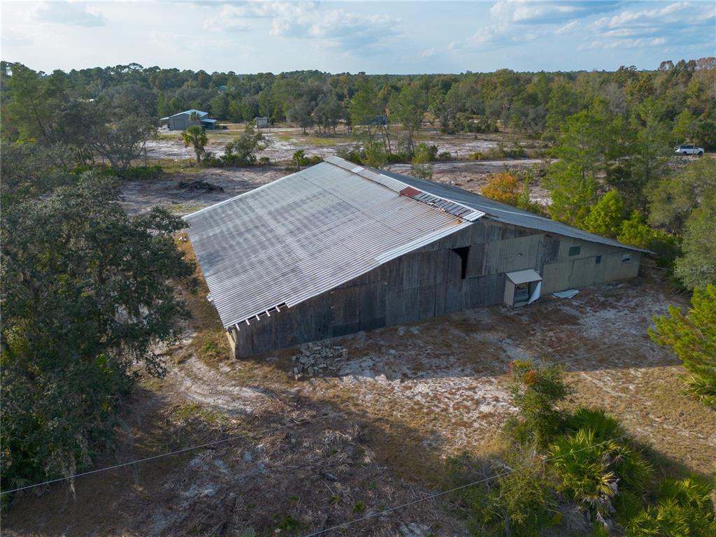 26650 Pelican Street Eustis, FL 32736 - Photo 69 of 69 a view of a dry yard with large trees