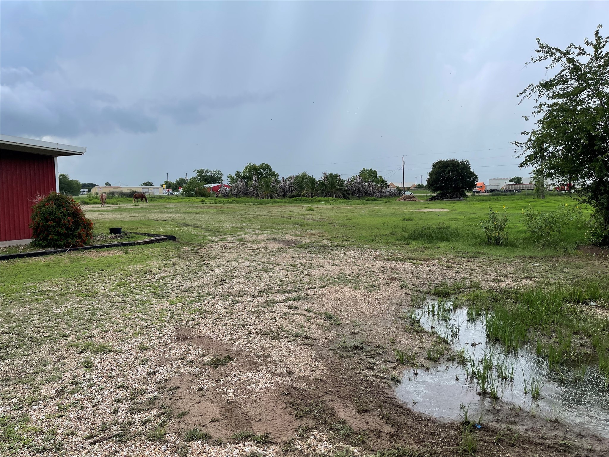 204 Glen Flora Road Eagle Lake, TX 77434 - Photo 4 of 6 a view of garden with outdoor space