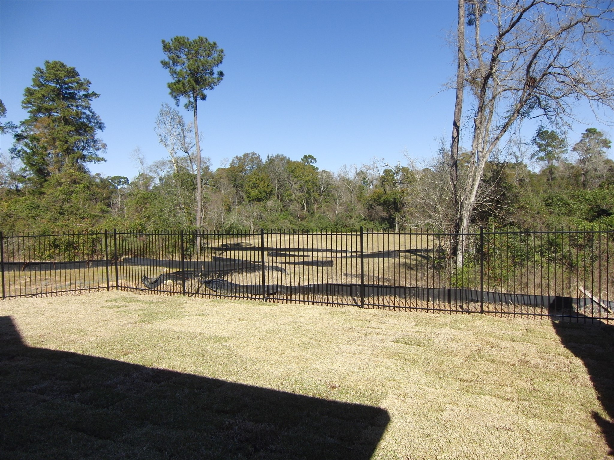 5522 Mesquite Oaks Trail Spring, TX 77389 - Photo 25 of 28