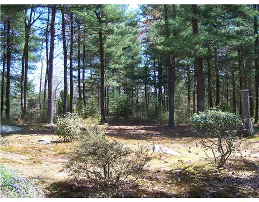 11 Sprucebrook Road Scituate, RI 02857 - Photo 12 of 12 Yard/Garden.