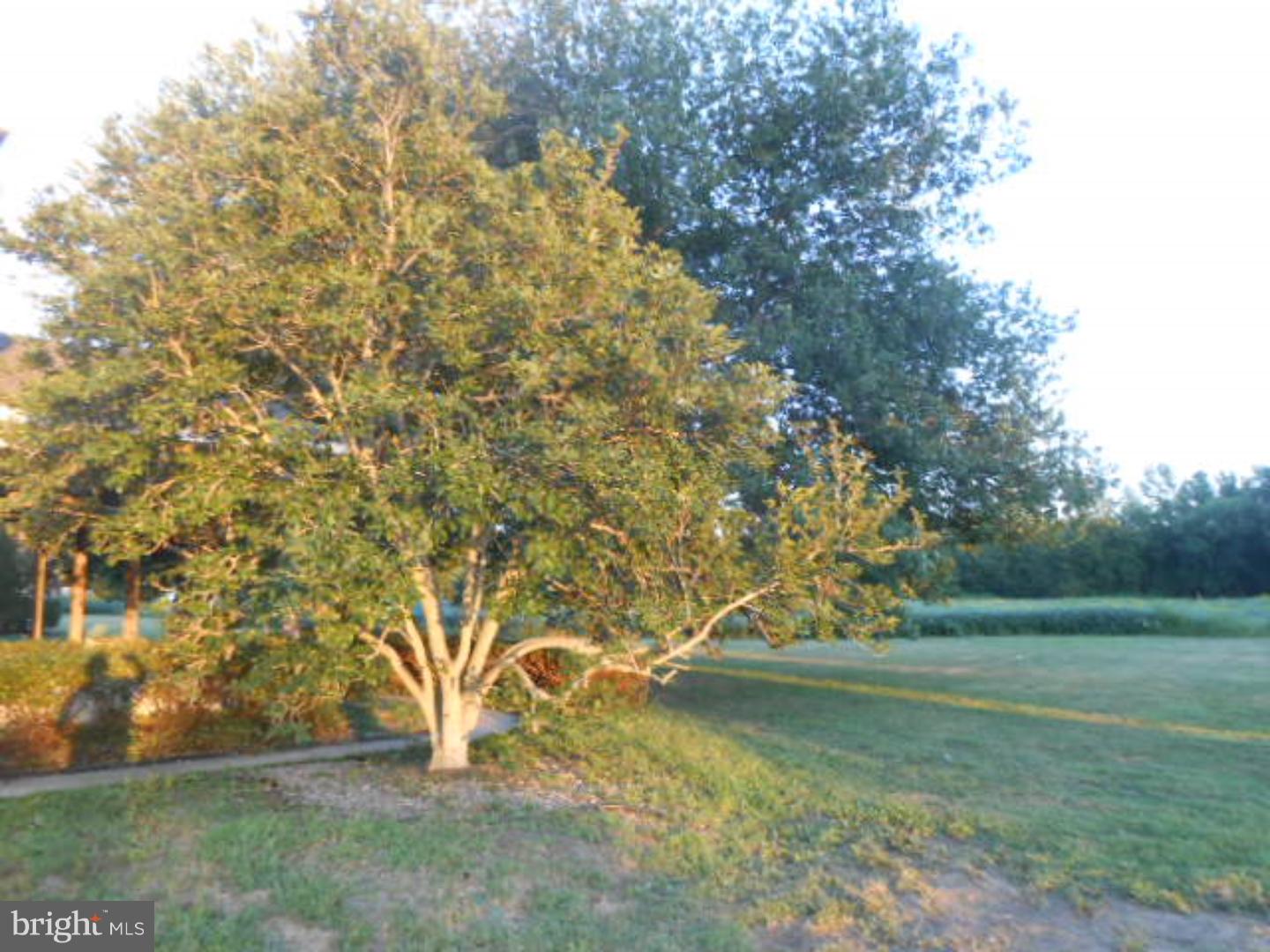 235 New Freedom Road Southampton, NJ 08088 - Photo 22 of 25 a view of yard with green space