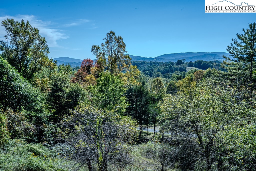 640 Fairview Heights Boone, NC 28607 - Photo 49 of 50 a view of a lush green forest with lots of trees