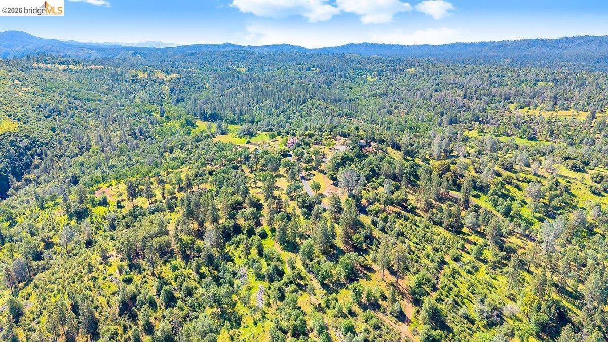 13700 Clements Road Groveland, CA 95321 - Photo 83 of 93 Expansive acreage featuring abundant mature trees and rolling hills