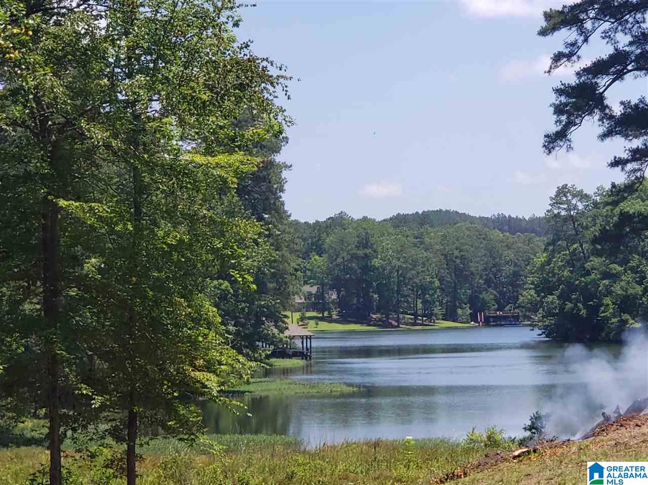 907 Preserve Road Rockford, AL 35136 - Photo 41 of 45