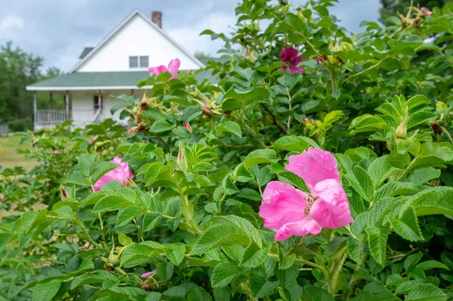 $449,900 | 9 State Park Road, Dover Foxcroft, ME 04426