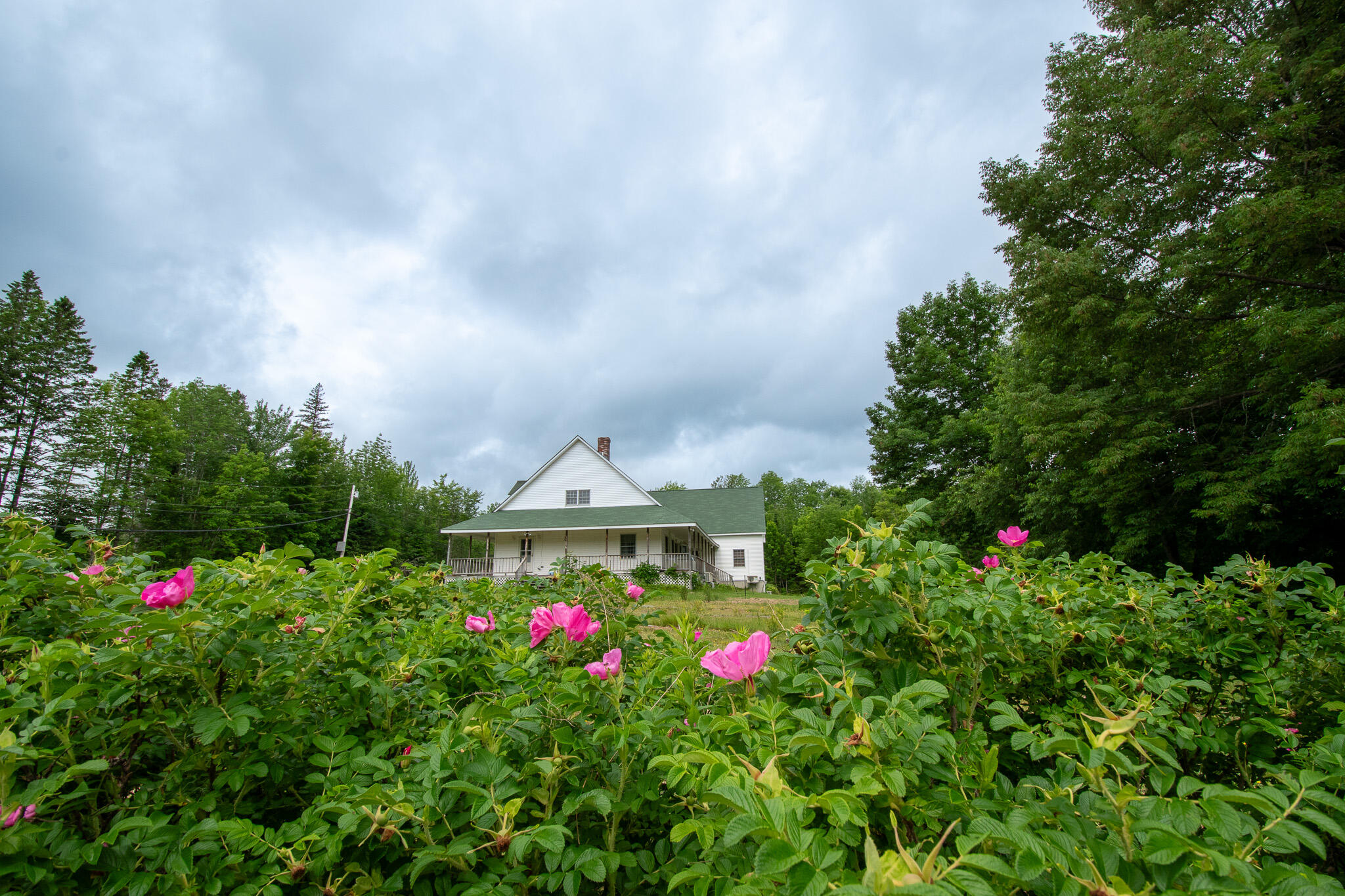 9 State Park Road Dover Foxcroft, ME 04426 - Photo 72 of 74 DSC_0431