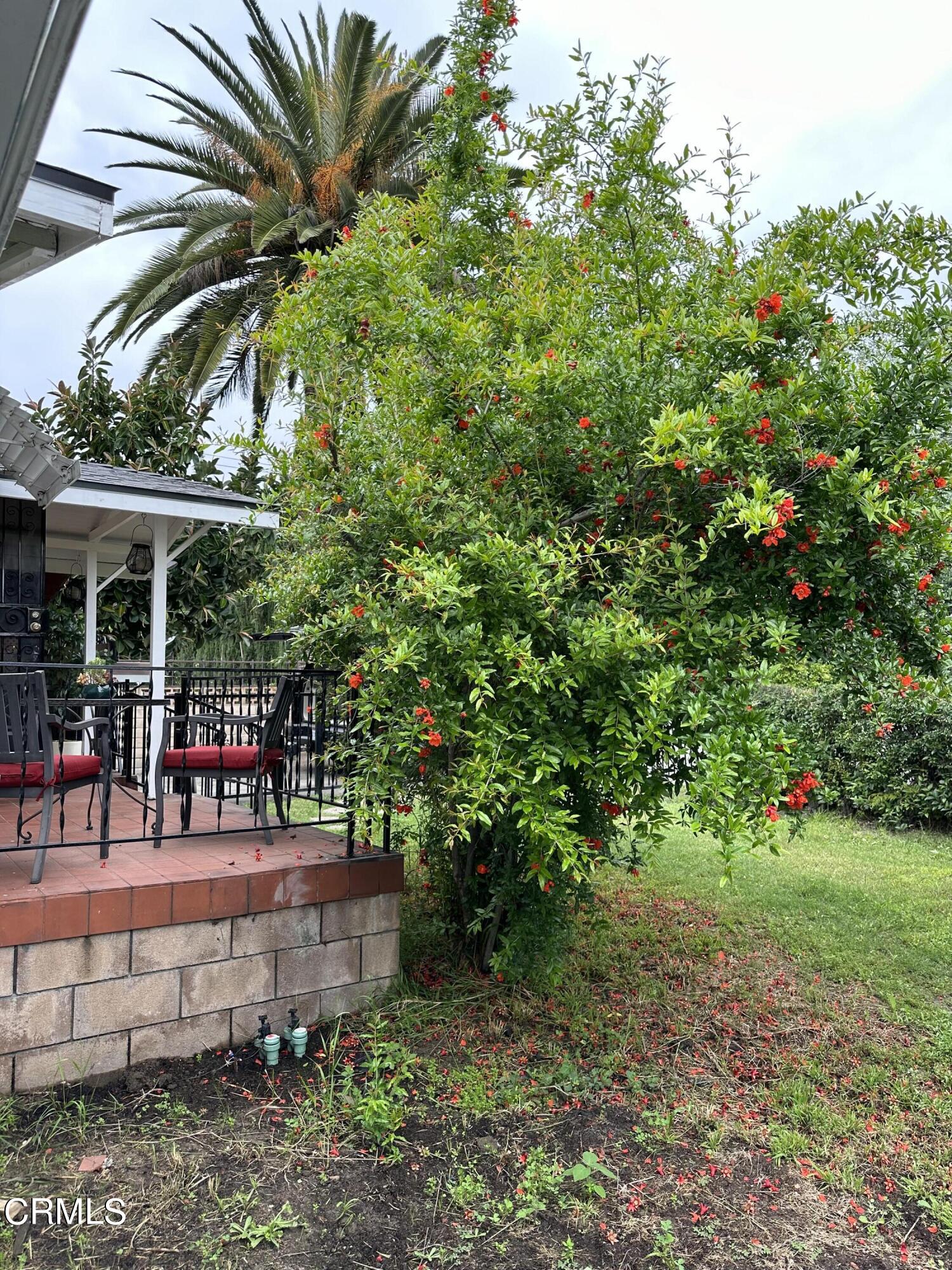 117 North Alta Vista Avenue Monrovia, CA 91016 - Photo 18 of 23 a backyard of a house with yard and outdoor seating
