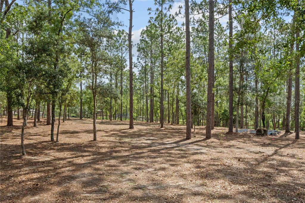 12929 Southwest 89th Street Dunnellon, FL 34432 - Photo 59 of 76