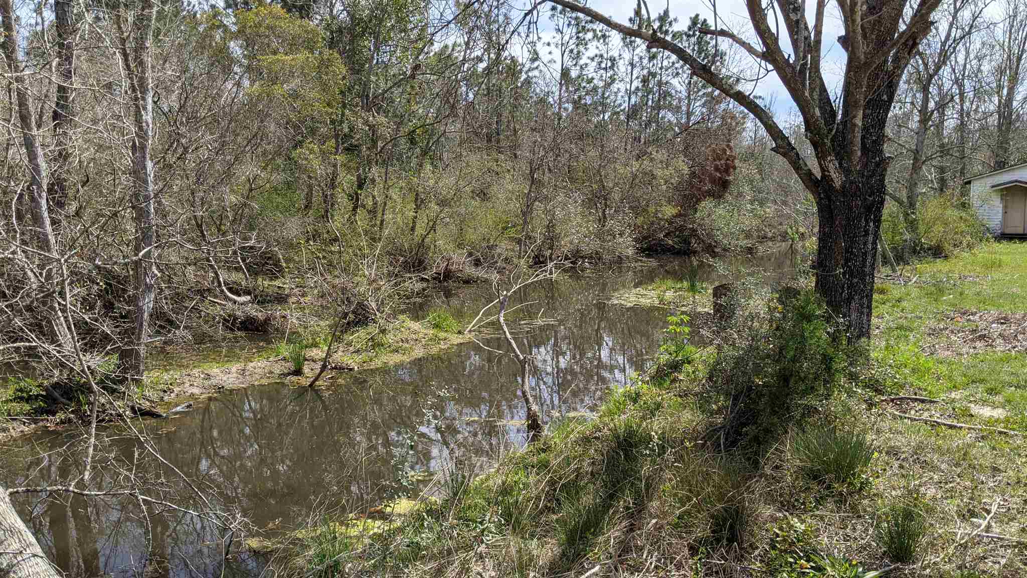 20512 Brinks Willis Road Foley, AL 36535 - Photo 5 of 34
