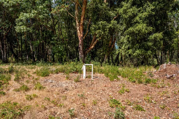 a garden view with a lake
