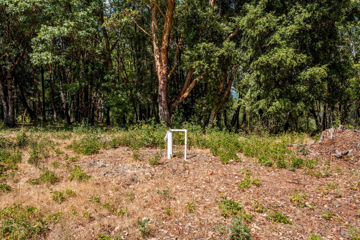 78611 Mina Road Covelo, CA 95428 - Photo 16 of 24 a garden view with a lake
