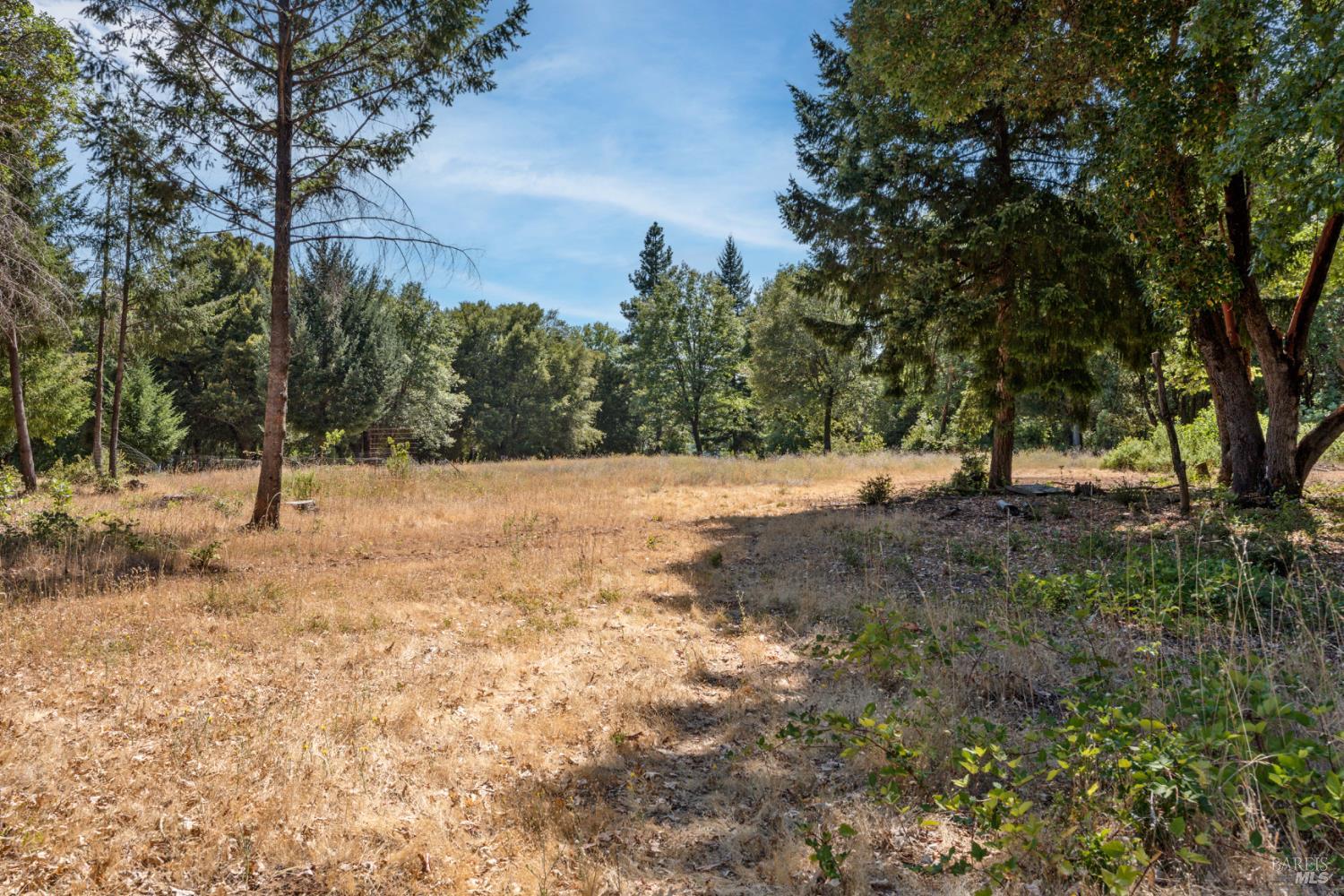 78611 Mina Road Covelo, CA 95428 - Photo 19 of 24 a view of outdoor space with trees