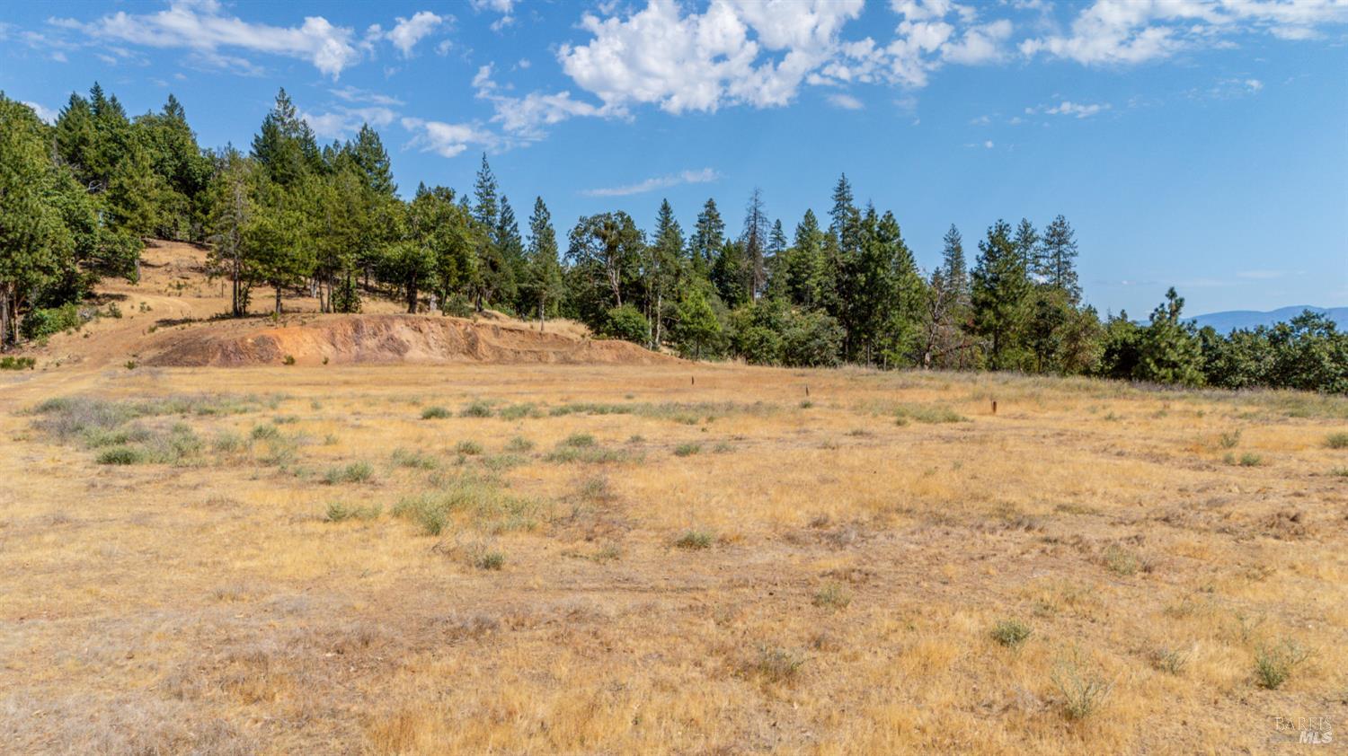 78611 Mina Road Covelo, CA 95428 - Photo 22 of 24 a view of a yard with trees in the background
