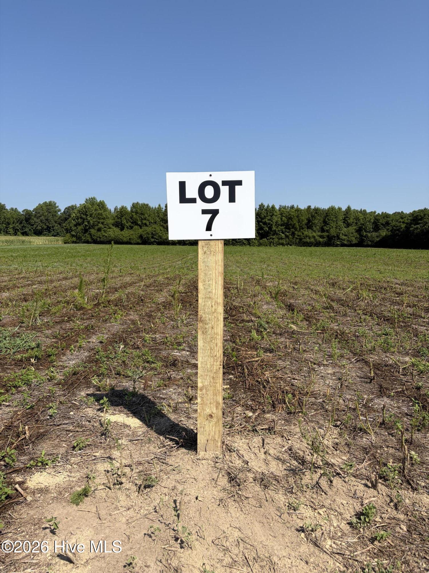 Lot 7 Point Caswell Road Willard, NC 28478 - Photo 6 of 7