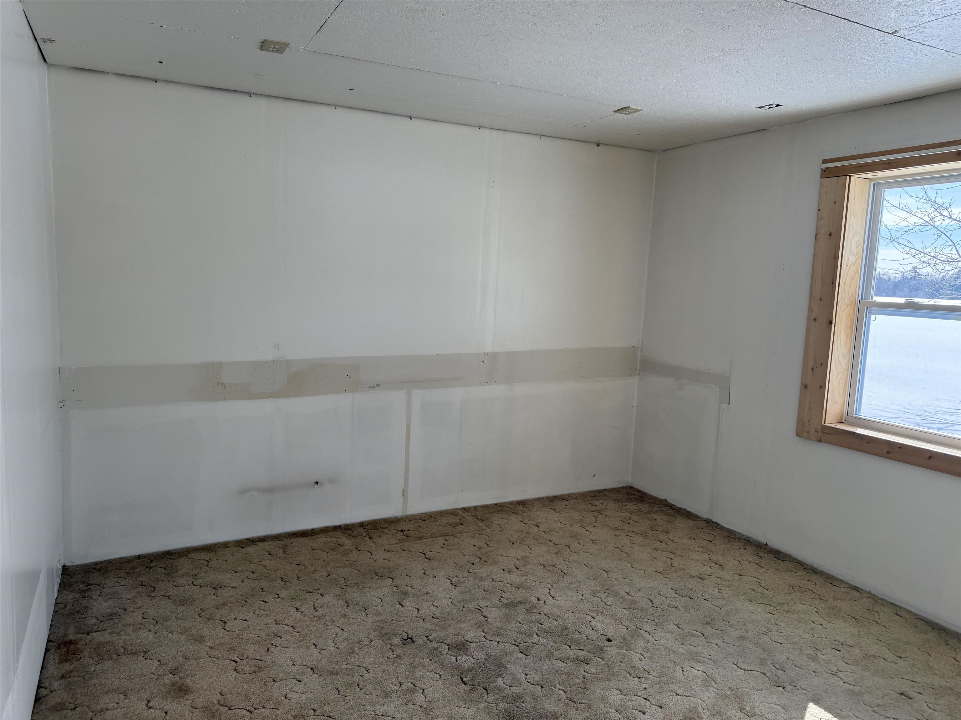 20347 Faylor Road Copemish, MI 49625 - Photo 9 of 24