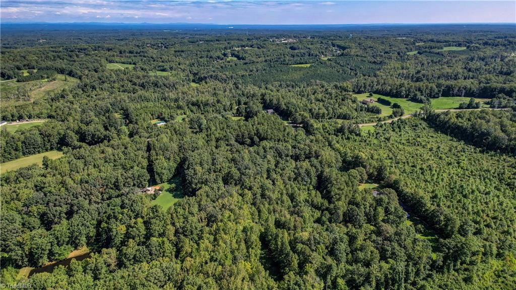 800 Dairy Road Reidsville, NC 27320 - Photo 9 of 38 Gallery Image 9