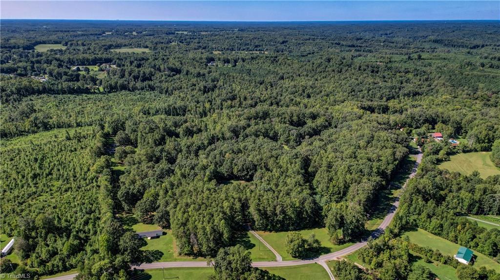 800 Dairy Road Reidsville, NC 27320 - Photo 10 of 38 Gallery Image 10