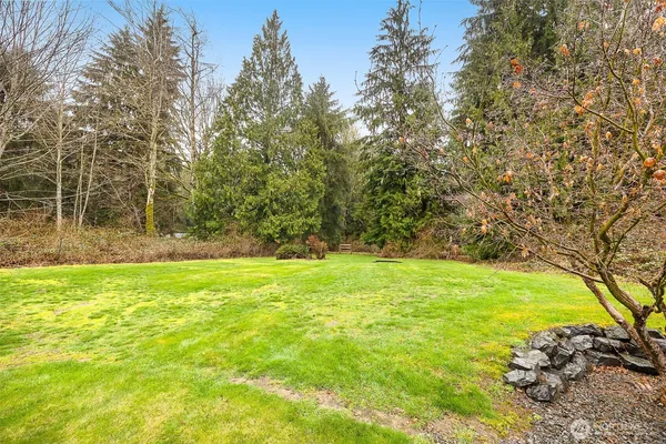 a view of yard with trees