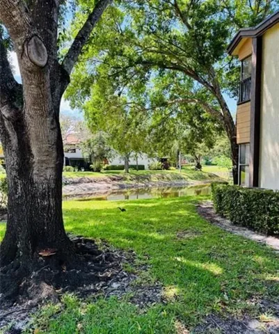 a view of a garden with a tree