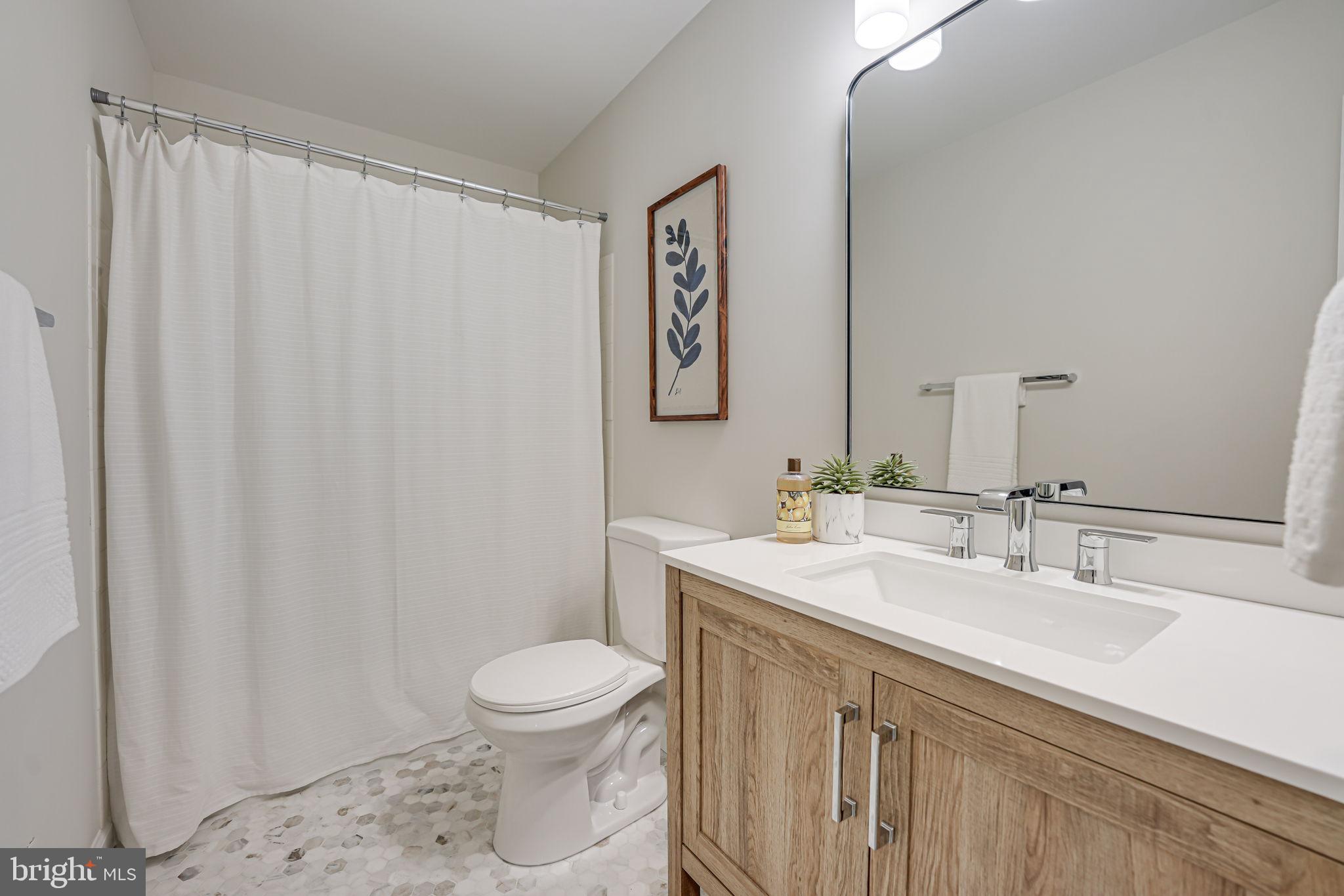 11615 Deer Forest Road Reston, VA 20194 - Photo 46 of 59 Full Bath