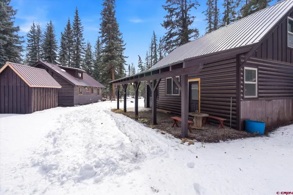 a view of a large tree