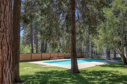 a view of a backyard with large trees