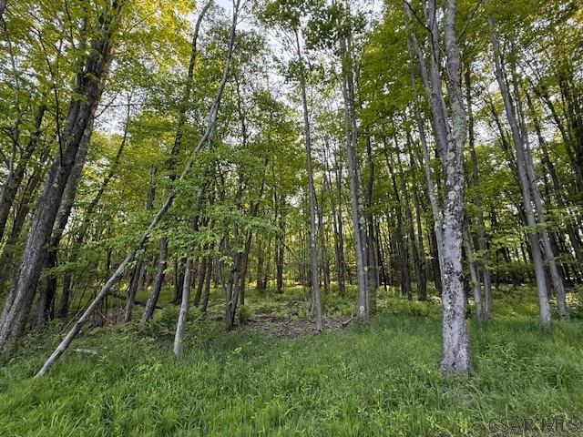 Baumgardner Road Salix, PA 15952 - Photo 4 of 14 Gallery Image 4