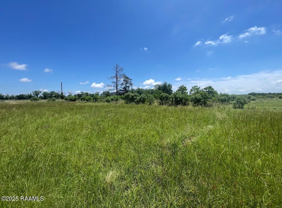 201 Fernwood Road Ville Platte, LA 70586 - Photo 1 of 1 1 acre