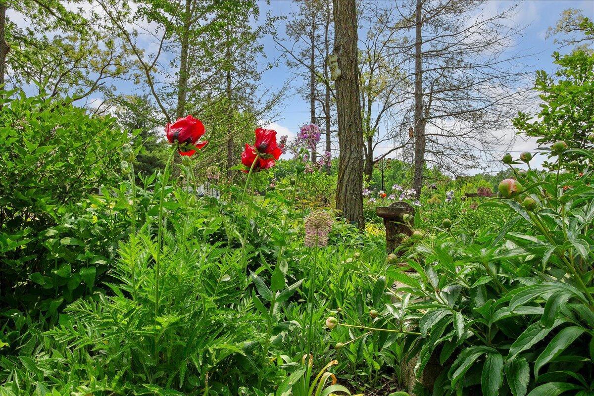 19840 Shirk Road Marysville, OH 43040 - Photo 25 of 62 19-IMG_5065