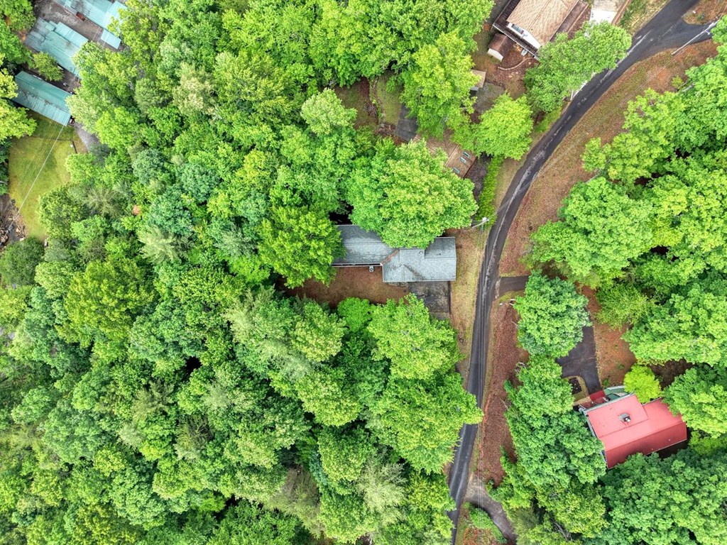 1066 Ridge Road Hiawassee, GA 30546 - Photo 45 of 51 an outdoor space with lots of trees