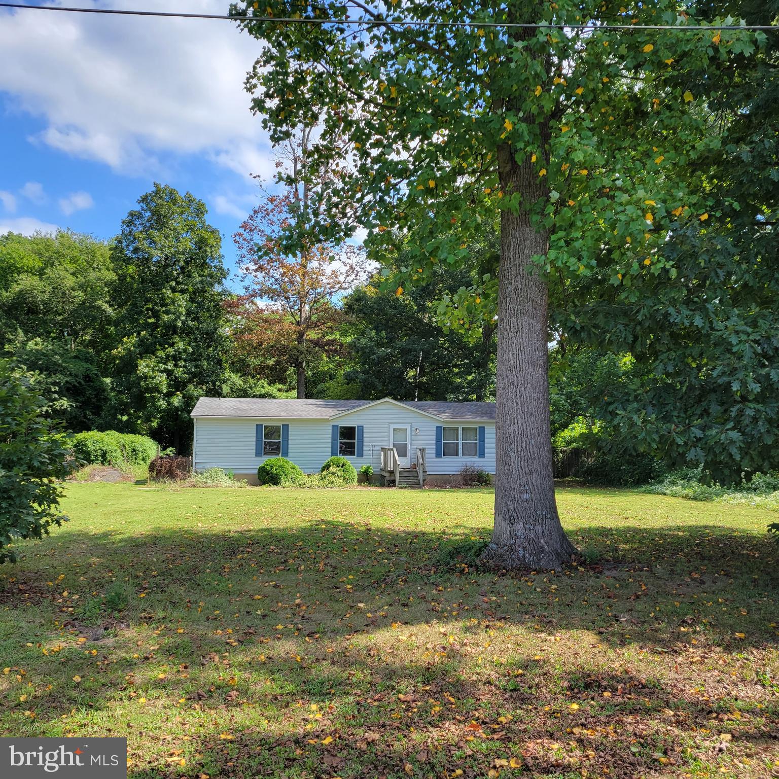 64 Jenkins Pond Road Milford, DE 19963 - Photo 3 of 16 Some large trees