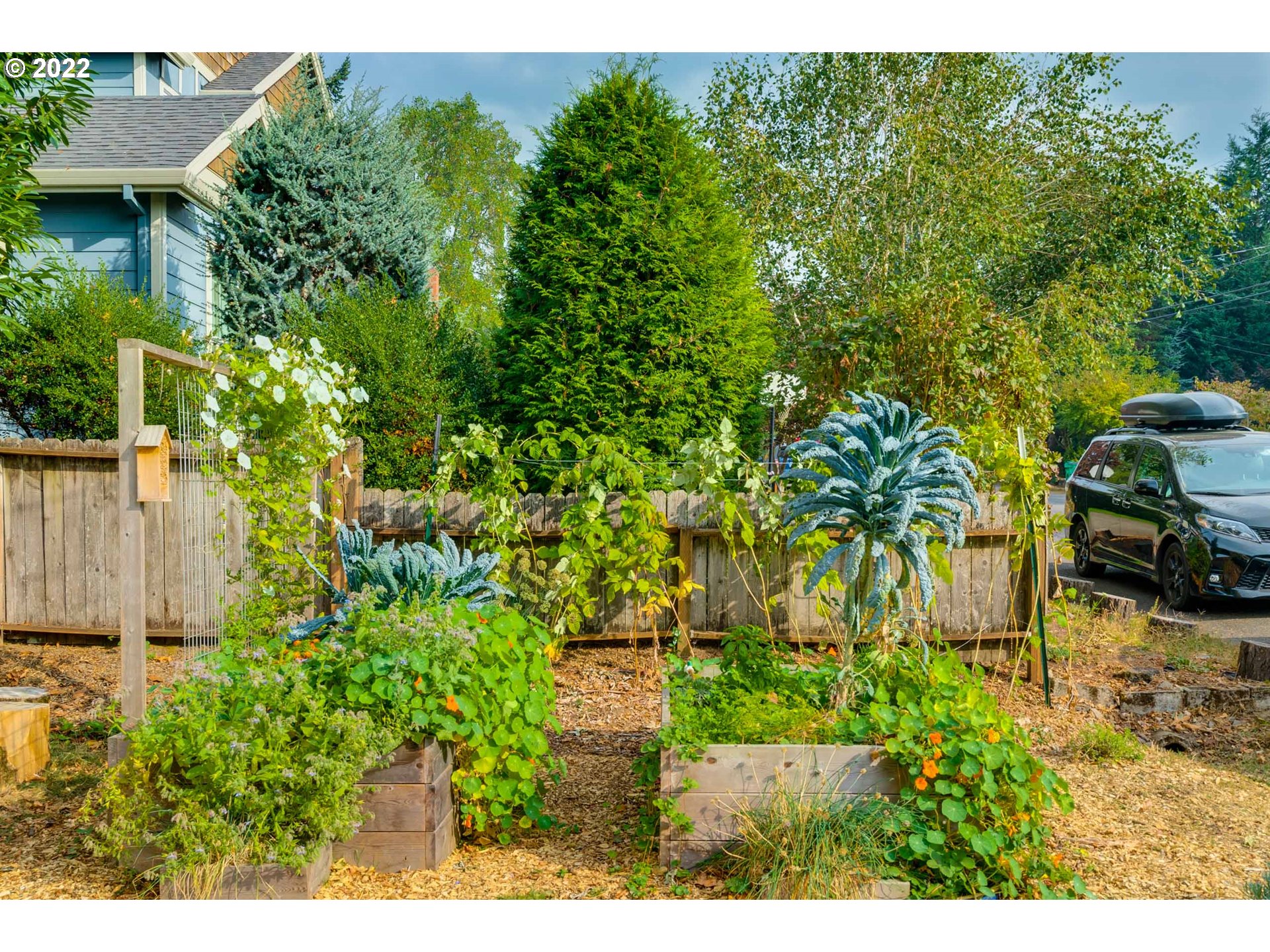 4227 South Pendleton Street Portland, OR 97221 - Photo 5 of 32 Garden