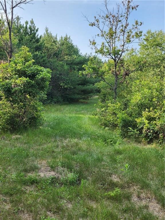 5500 County Highway Sparta, WI 54656 - Photo 22 of 39
