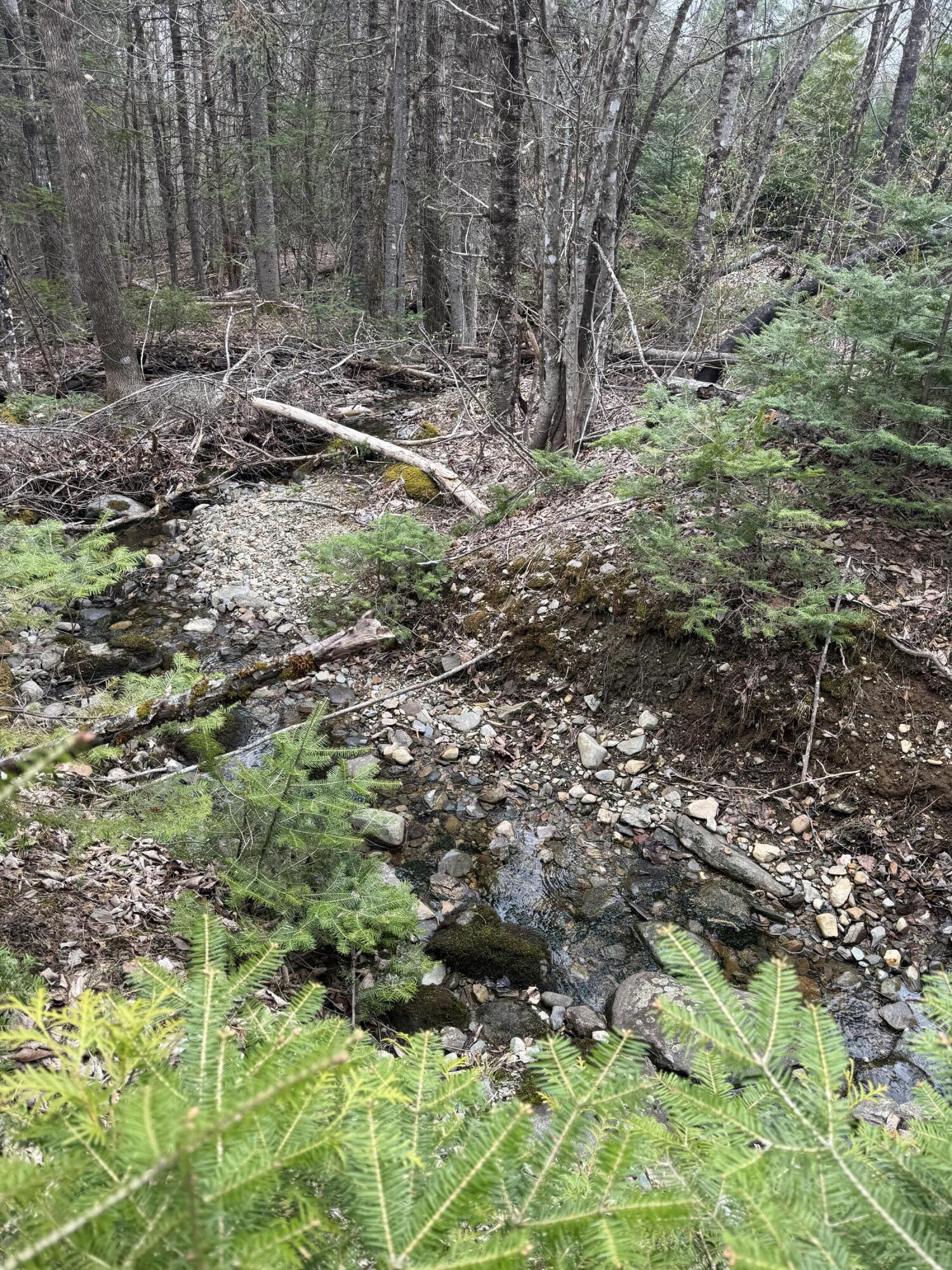 70 Range Road Garland, ME 04939 - Photo 11 of 11 IMG_4826