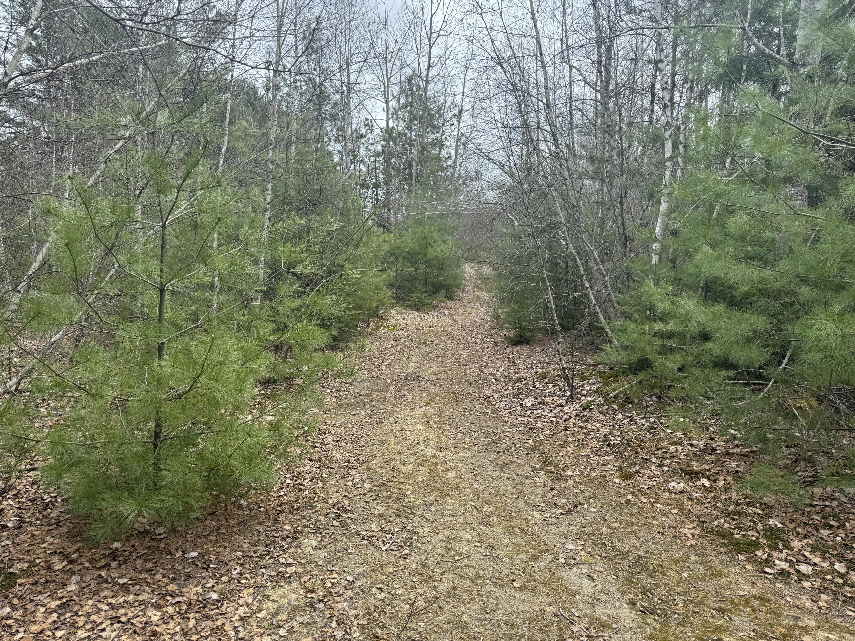 70 Range Road Garland, ME 04939 - Photo 3 of 11 IMG_4818